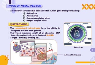 TYPES OF VIRAL VECTOR
A number of viruses have been used for human gene therapy including :
1) Retrovirus
2) Adenovirus
3) Adeno-associated virus
4) Herpes simplex virus
1) RETROVIRUS
The recombinant retroviruses have the ability to
integrate into the host genome.
The typical maximum length of an allowable DNA
insert in a retroviral vector is about 8-10 kB.
Target – actively dividing cell.
Retrovirus
15
Action of Retrovirus
 