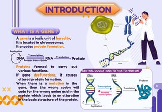 INTRODUCTION
WHAT IS A GENE ?
A gene is a basic unit of heredity.
It is located in chromosomes.
It encodes protein formation.
Replication
Transcription
Translation
Protein
DNA RNA
Reverse transcription
Proteins formed to carry out
various functions.
If gene dysfunctions, it causes
altered protein formation.
When there is a mutation in the
gene, then the wrong codon will
code for the wrong amino acid in the
protein which leads to an alteration
in the basic structure of the protein.
2
 