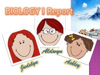 BIOLOGY I Report Aldwyn Ashley Judelyn 