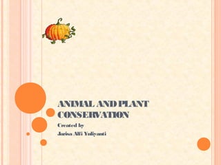 ANIMAL AND PLANT
CONSERVATION
Created by
Jarisa Alfi Yuliyanti
 