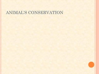 ANIMAL’S CONSERVATION
 