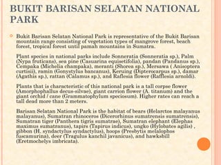 BUKIT BARISAN SELATAN NATIONAL
PARK
   Bukit Barisan Selatan National Park is representative of the Bukit Barisan
    mountain range consisting of vegetation types of mangrove forest, beach
    forest, tropical forest until pamah mountains in Sumatra.
    Plant species in national parks include Sonneratia (Sonneratia sp.), Palm
    (Nypa fruticans), sea pine (Casuarina equisetifolia), pandan (Pandanus sp.),
    Cempaka (Michelia champaka), meranti (Shorea sp.), Mersawa ( Anisoptera
    curtisii), ramin (Gonystylus bancanus), Keruing (Dipterocarpus sp.), damar
    (Agathis sp.), rattan (Calamus sp.), and Raflesia flower (Rafflesia arnoldi).
    Plants that is characteristic of this national park is a tall corpse flower
    (Amorphophallus decus-silvae), giant carrion flower (A. titanum) and the
    giant orchid / cane (Grammatophylum speciosum). Higher rates can reach a
    tall dead more than 2 meters.
     
    Barisan Selatan National Park is the habitat of bears (Helarctos malayanus
    malayanus), Sumatran rhinoceros (Dicerorhinus sumatrensis sumatrensis),
    Sumatran tiger (Panthera tigris sumatrae), Sumatran elephant (Elephas
    maximus sumatranus), tapirs (Tapirus indicus), ungko (Hylobates agilis) ,
    gibbon (H. syndactylus syndactylus), hoops (Presbytis melalophos
    fuscamurina), deer (Tragulus kanchil javanicus), and hawksbill
    (Eretmochelys imbricata).
 