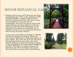 BOGOR BOTANICAL GARDEN
   Regions with an area of 87 hectares has been
    established since 1817 on the initiative of Sir
    Stamford Raffles, a British national who
    served as governor of Java. The trees in this
    area hundreds of years old. So not
    surprisingly, the trees here have a big trunk
    and reach tens of meters high. In each tree,
    which contains the label attached to a tree
    and when trees began to be planted. So, in
    addition to travel, we can also know the trees
    that we may not know existed.
    A large tree in the Botanic Garden is making
    the air cool and rich in oxygen. There are
    more than 17,000 species, including species of
    rare orchids. The trees are here not only from
    domestic bersal but many also come from
    abroad. Which is always interesting to watch
    is the development of carrion flower (Rafflesia
    arnoldi). This flower is unique because the
    large size and when the bloom will remove
    the stench that was named the dead flowers.
 