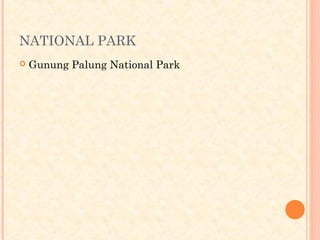NATIONAL PARK
   Gunung Palung National Park
 