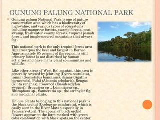 GUNUNG PALUNG NATIONAL PARK
   Gunung palung National Park is one of nature
    conservation area which has a biodiversity of
    high-value, and various types of ecosystems
    including mangrove forests, swamp forests, peat
    swamp, freshwater swamp forests, tropical pamah
    forest, and jungle-covered mountains that always
    fog .
    This national park is the only tropical forest area
    Dipterocarpus the best and largest in Borneo.
    Approximately 65 percent of the region, is still
    primary forest is not disturbed by human
    activities and have many plant communities and
    wildlife.
    Like other areas of West Kalimantan, this area is
    generally covered by jelutung (Dyera costulata),
    ramin (Gonystylus bancanus), damar (Agathis
    borneensis), Pulai (Alstonia scholaris), Rengas
    (Gluta renghas), ironwood (Eusideroxylon
    zwageri), Bruguiera sp ., Lumnitzera sp.,
    Rhizophora sp., Sonneratia sp., the strangler fig,
    and medicinal plants.
    Unique plants belonging to this national park is
    the black orchid (Coelogyne pandurata), which is
    easily seen in the River Matan especially in
    February-April. The appeal of black orchid
    flowers appear on the form marked with green
    color combination with black spots on the center
 
