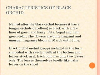 CHARACTERISTICS OF BLACK
ORCHID

 Named after the black orchid because it has a
 tongue orchids (labellum) is black with a few
 lines of green and hairy. Petal Sepal and light
 green color. The flowers are quite fragrant and
 unusual fragrance bloom in March until June.

 Black orchid orchid groups included in the form
 simpodial with swollen bulb at the bottom and
 leaves stuck in it. Each bulb has only two leaves
 only. The leaves themselves briefly like palm
 leaves on the shoot
 