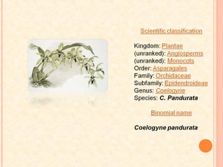 ANIMAL AND PLANT CONSERVATION