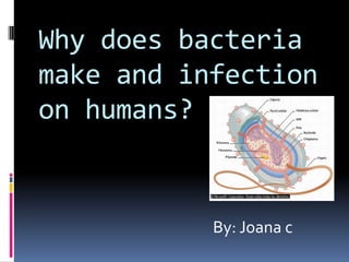 Why does bacteria
make and infection
on humans?


           By: Joana c
 
