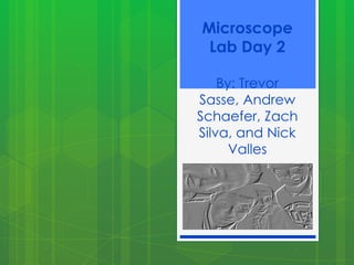 Microscope Lab Day 2By: Trevor Sasse, Andrew Schaefer, Zach Silva, and Nick Valles 
