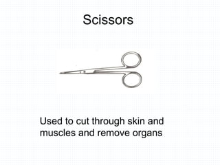Scissors
Used to cut through skin and
muscles and remove organs
 