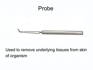 Probe
Used to remove underlying tissues from skin
of organism
 
