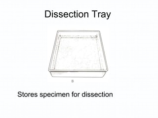 Dissection Tray
Stores specimen for dissection
 