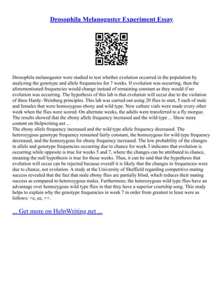 Drosophila Melanogaster Experiment Essay
Drosophila melanogaster were studied to test whether evolution occurred in the population by
analyzing the genotype and allele frequencies for 7 weeks. If evolution was occurring, then the
aforementioned frequencies would change instead of remaining constant as they would if no
evolution was occurring. The hypothesis of this lab is that evolution will occur due to the violation
of three Hardy–Weinberg principles. This lab was carried out using 20 flies to start, 5 each of male
and females that were homozygous ebony and wild type. New culture vials were made every other
week when the flies were scored. On alternate weeks, the adults were transferred to a fly morgue.
The results showed that the ebony allele frequency increased and the wild type ... Show more
content on Helpwriting.net ...
The ebony allele frequency increased and the wild type allele frequency decreased. The
heterozygous genotype frequency remained fairly constant, the homozygous for wild type frequency
decreased, and the homozygous for ebony frequency increased. The low probability of the changes
in allele and genotype frequencies occurring due to chance for week 3 indicates that evolution is
occurring while opposite is true for weeks 5 and 7, where the changes can be attributed to chance,
meaning the null hypothesis is true for those weeks. Thus, it can be said that the hypothesis that
evolution will occur can be rejected because overall it is likely that the changes in frequencies were
due to chance, not evolution. A study at the University of Sheffield regarding competitive mating
success revealed that the fact that male ebony flies are partially blind, which reduces their mating
success as compared to heterozygous males. Furthermore, the heterozygous wild type flies have an
advantage over homozygous wild type flies in that they have a superior courtship song. This study
helps to explain why the genotype frequencies in week 7 in order from greatest to least were as
follows: +e, ee, ++.
... Get more on HelpWriting.net ...
 
