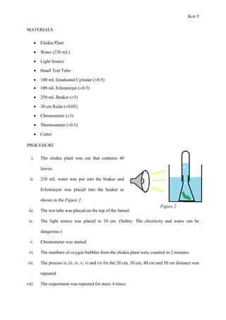 Koz 5
MATERIALS
 Elodea Plant
 Water (230 mL)
 Light Source
 Small Test Tube
 100 mL Graduated Cylinder (±0.5)
 100 mL Erlenmeyer (±0.5)
 250 mL Beaker (±5)
 30 cm Ruler (±0.05)
 Chronometer (±1)
 Thermometer (±0.1)
 Cutter
PROCEDURE
i. The elodea plant was cut that contains 40
leaves.
ii. 230 mL water was put into the beaker and
Erlenmeyer was placed into the beaker as
shown in the Figure 2.
iii. The test tube was placed on the top of the funnel.
iv. The light source was placed in 10 cm. (Safety: The electricity and water can be
dangerous.)
v. Chronometer was started.
vi. The numbers of oxygen bubbles from the elodea plant were counted in 2 minutes.
vii. The process ii, iii, iv, v, vi and vii for the 20 cm, 30 cm, 40 cm and 50 cm distance was
repeated.
viii. The experiment was repeated for more 4 times.
Figure 2
 