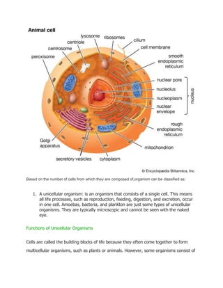 Cell Structure Lab Report BIOLOGY LAB REPORT 2.docx
