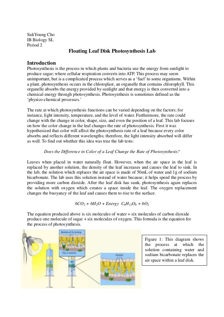 Process of writing a research paper