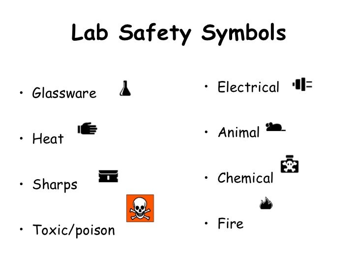 Recognizing Lab Safety Worksheet Answers - Worksheet List