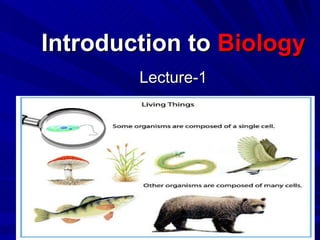 Introduction to  Biology ,[object Object],Copyright Cmassengale 