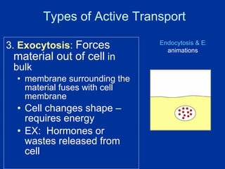 Types of Active Transport 3.  Exocytosis :   Forces material out of cell  in bulk membrane surrounding the material fuses with cell membrane Cell changes shape – requires energy EX:  Hormones or wastes released from cell Endocytosis & Exocytosis  animations 