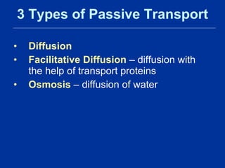 3 Types of Passive Transport Diffusion   Facilitative Diffusion  – diffusion with the help of transport proteins  Osmosis  – diffusion of water 