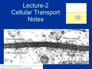 Lecture-2 Cellular Transport Notes This Powerpoint is hosted on  www.worldofteaching.com Please visit for 100’s more free powerpoints 