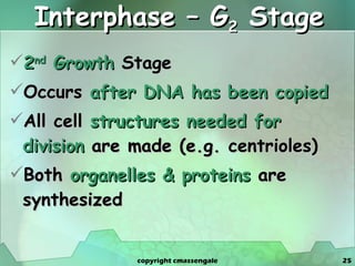Interphase – G 2  Stage 2 nd  Growth  Stage Occurs  after DNA has been copied All cell  structures needed for division  are made (e.g. centrioles) Both  organelles & proteins  are synthesized copyright cmassengale 