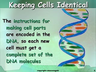 Keeping Cells Identical The  instructions for making cell parts  are encoded in the  DNA , so each new cell must get a  complete set of the DNA molecules   copyright cmassengale 