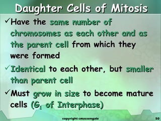 Daughter Cells of Mitosis Have the  same number of chromosomes as each other   and as the parent cell  from which they were formed Identical  to each other, but  smaller than parent cell Must  grow in size  to become mature cells  (G 1  of Interphase) copyright cmassengale 