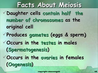 Facts About Meiosis Daughter cells   contain half  the number of chromosomes   as the original cell Produces   gametes   (eggs & sperm ) Occurs in the  testes  in males ( Spermatogenesis ) Occurs in the  ovaries  in females ( Oogenesis ) copyright cmassengale 