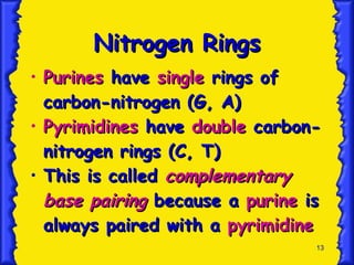 Nitrogen Rings Purines  have  single  rings of carbon-nitrogen (G, A) Pyrimidines  have  double  carbon-nitrogen rings (C, T) This is called  complementary base pairing  because a  purine  is always paired with a  pyrimidine   