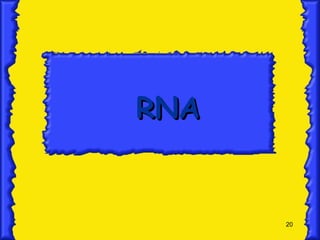 RNA 