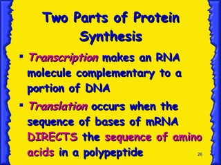 Two Parts of Protein Synthesis Transcription  makes an RNA molecule complementary to a portion of DNA Translation   occurs when the sequence of bases of mRNA  DIRECTS  the  sequence of amino acids  in a polypeptide 