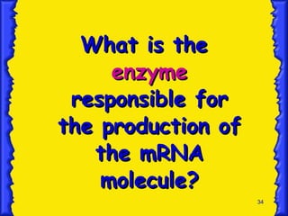 What is the  enzyme  responsible for the production of the mRNA molecule? 