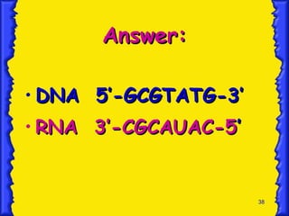 Answer: DNA  5’-GCGTATG-3’ RNA  3’-CGCAUAC-5 ’ 