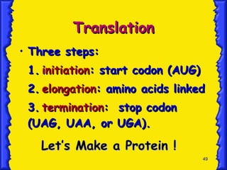 Translation Three steps: 1. initiation : start codon (AUG) 2. elongation : amino acids linked 3. termination :  stop codon (UAG, UAA, or UGA). Let’s Make a Protein ! 