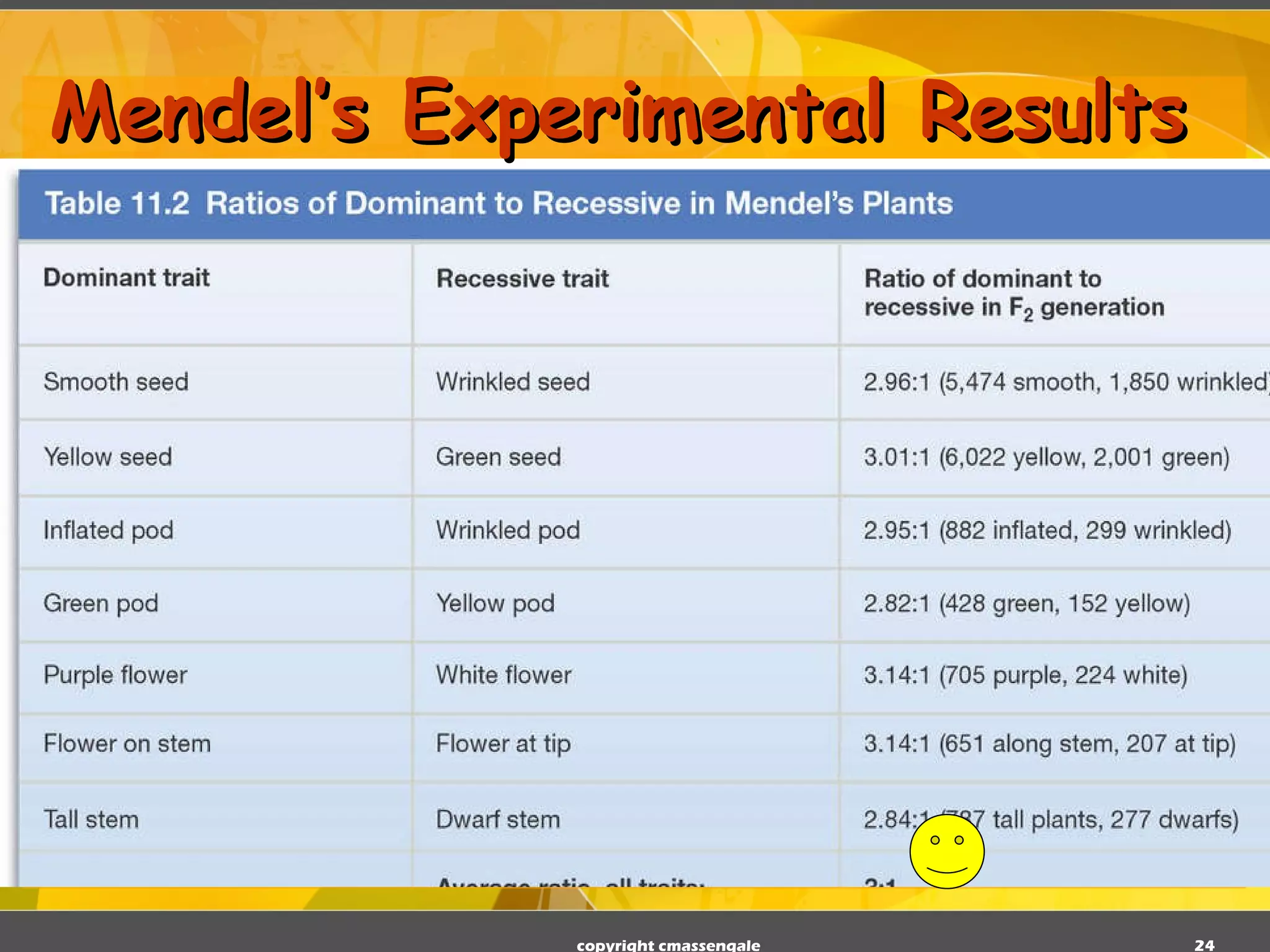 Mendel’s Experimental Results copyright cmassengale 