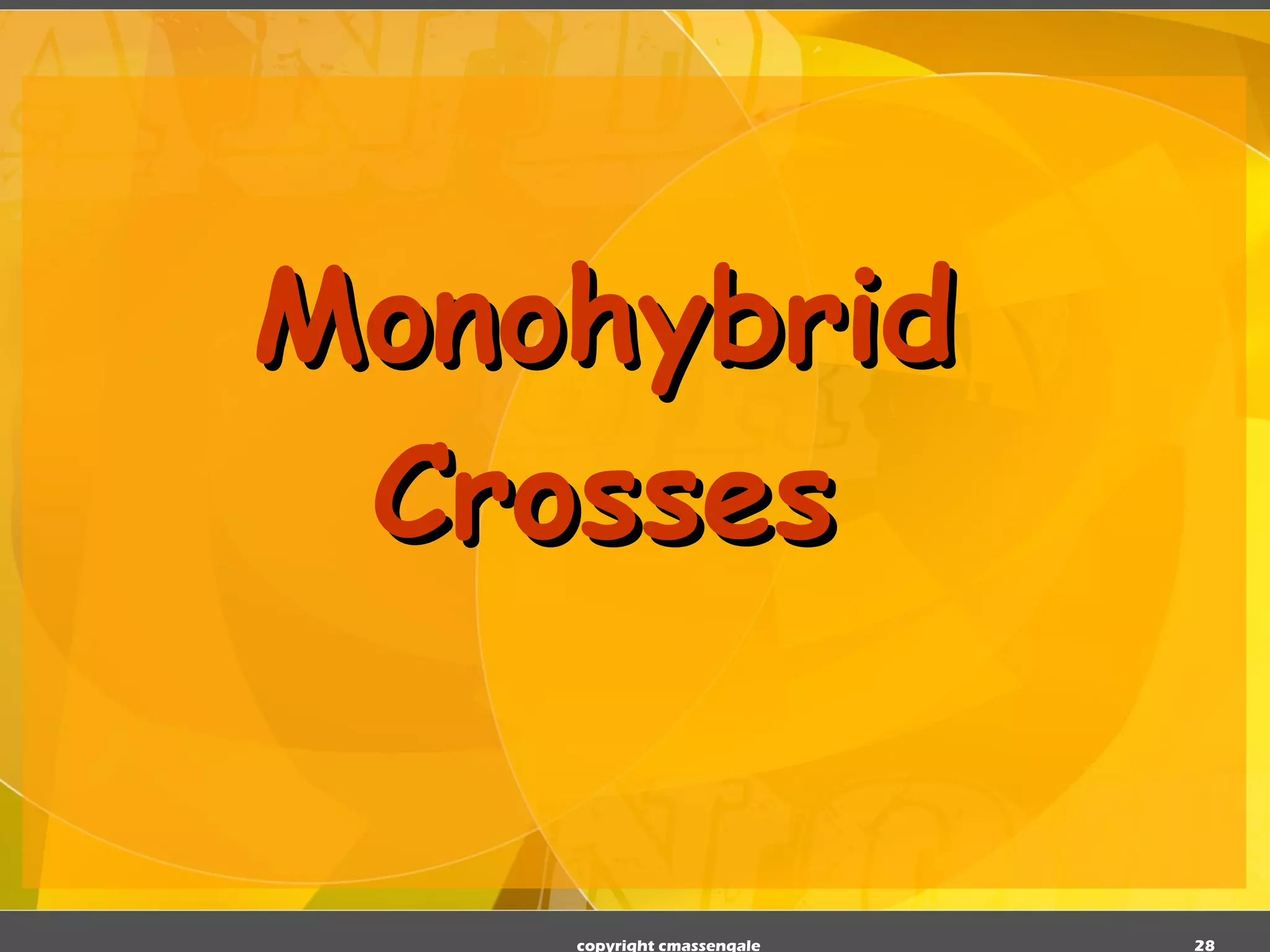 Monohybrid Crosses copyright cmassengale 