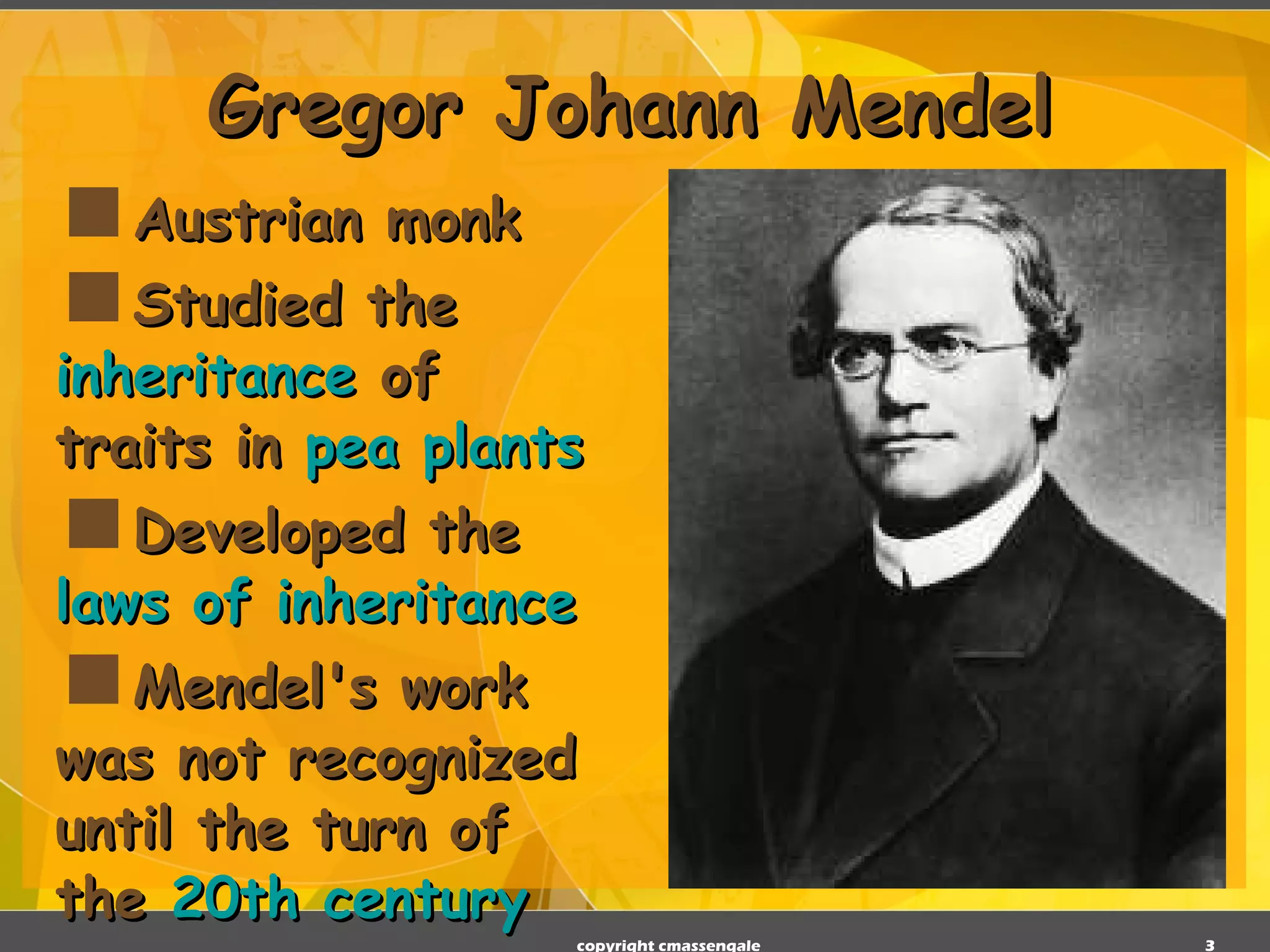 Gregor Johann Mendel Austrian monk Studied the  inheritance  of traits in  pea plants Developed the  laws of inheritance Mendel's work was not recognized until the turn of the  20th century copyright cmassengale 