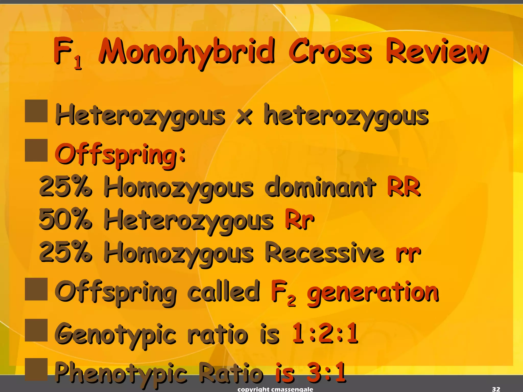 F 1  Monohybrid Cross Review Heterozygous x heterozygous Offspring: 25% Homozygous dominant   RR 50% Heterozygous   Rr 25% Homozygous Recessive   rr Offspring called   F 2  generation Genotypic ratio is   1:2:1 Phenotypic Ratio  is 3:1 copyright cmassengale 