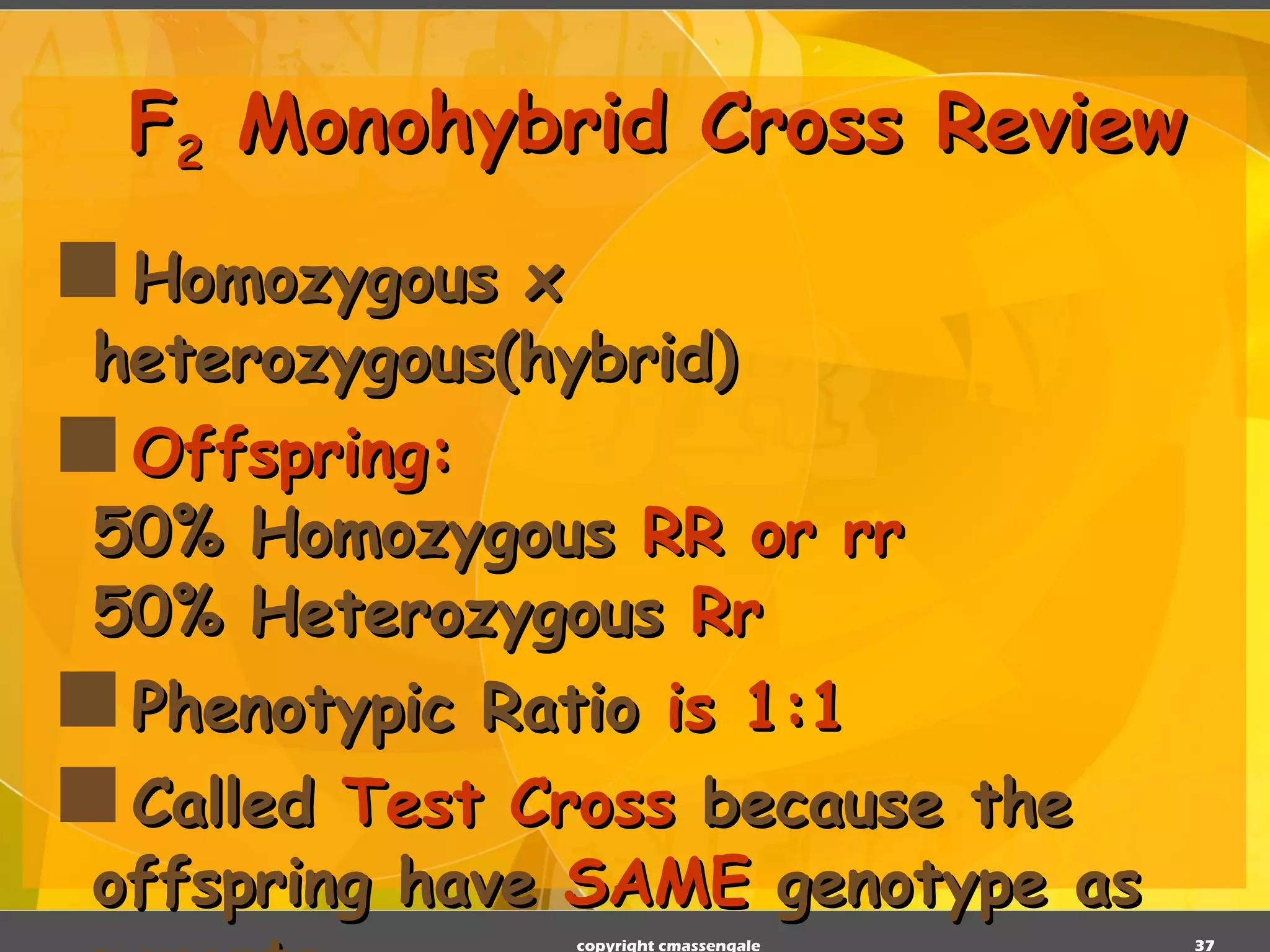 F 2  Monohybrid Cross Review Homozygous x heterozygous(hybrid) Offspring: 50% Homozygous  RR or rr 50% Heterozygous   Rr Phenotypic Ratio  is 1:1 Called  Test Cross  because the offspring have  SAME  genotype as parents copyright cmassengale 