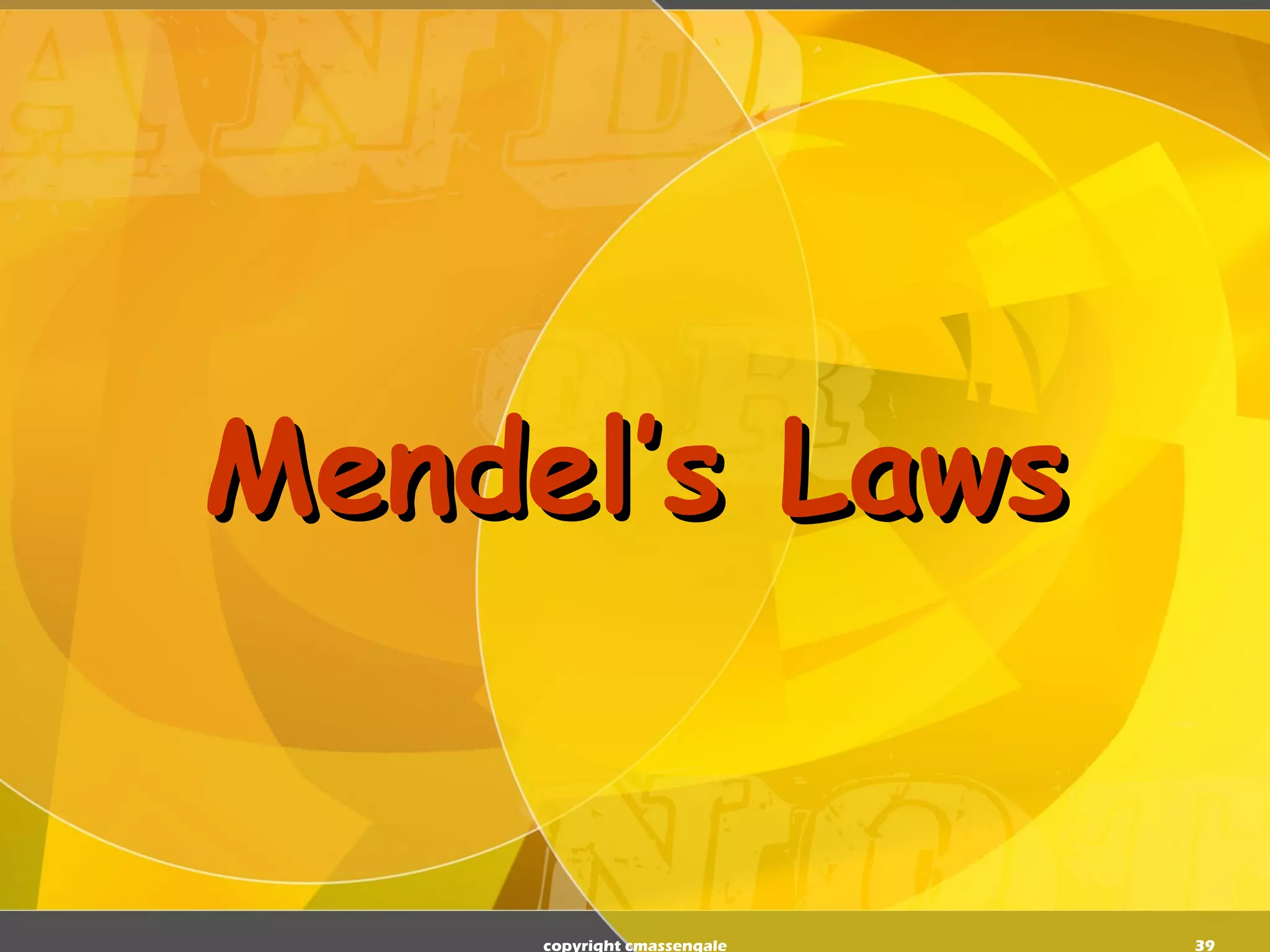 Mendel’s Laws copyright cmassengale 