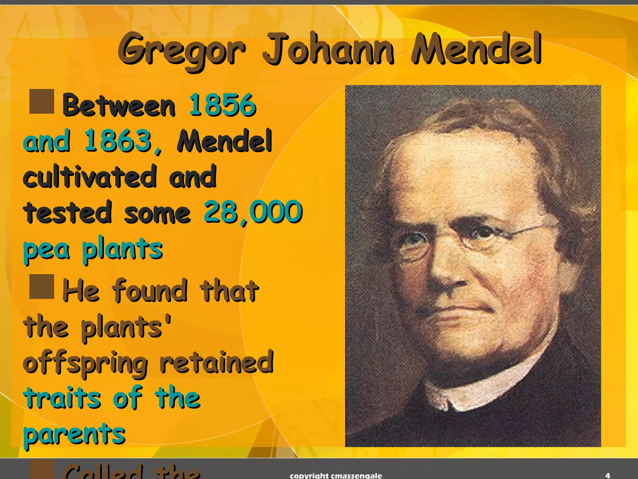 Gregor Johann Mendel Between  1856 and 1863,  Mendel cultivated and tested some  28,000 pea plants He found that the plants' offspring retained  traits of the parents Called the  “Father of Genetics" copyright cmassengale 