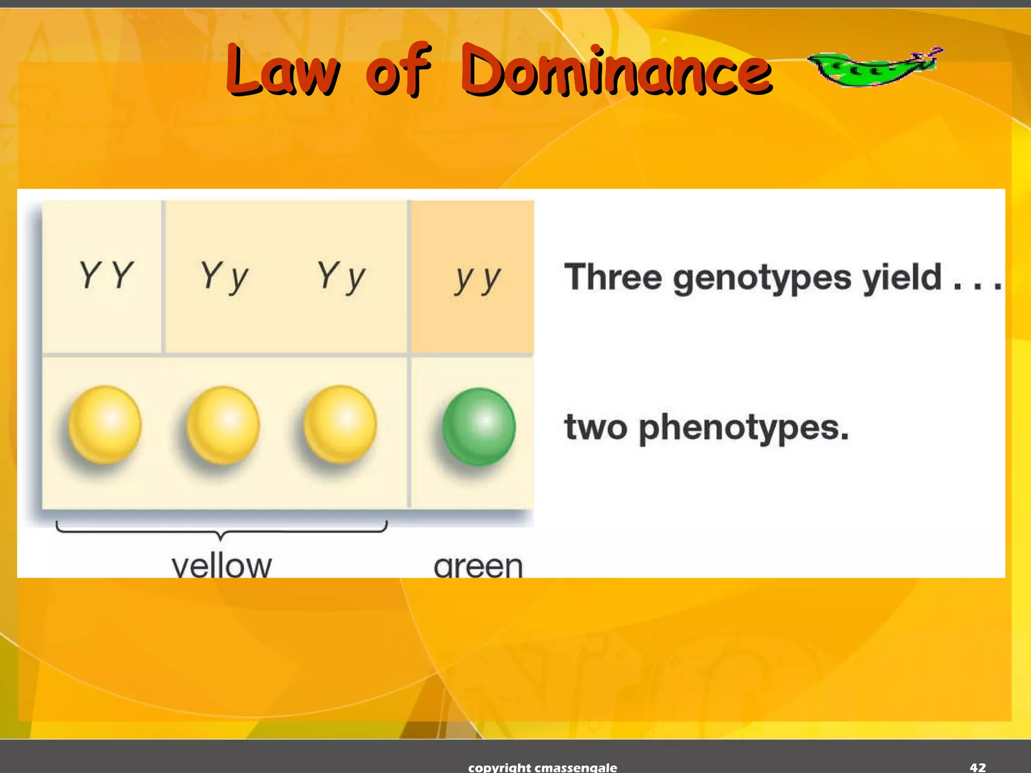 Law of Dominance copyright cmassengale 