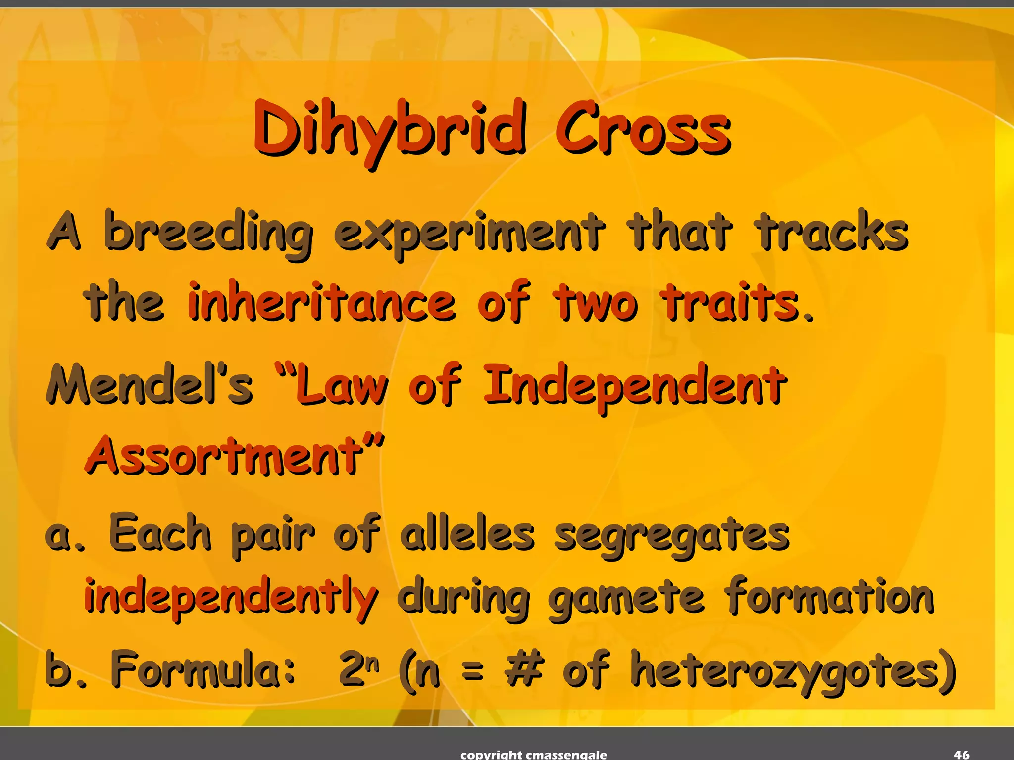 Dihybrid Cross A breeding experiment that tracks the  inheritance of two traits . Mendel’s  “Law of Independent Assortment” a. Each pair of alleles segregates  independently  during gamete formation b. Formula:  2 n  (n = # of heterozygotes) copyright cmassengale 