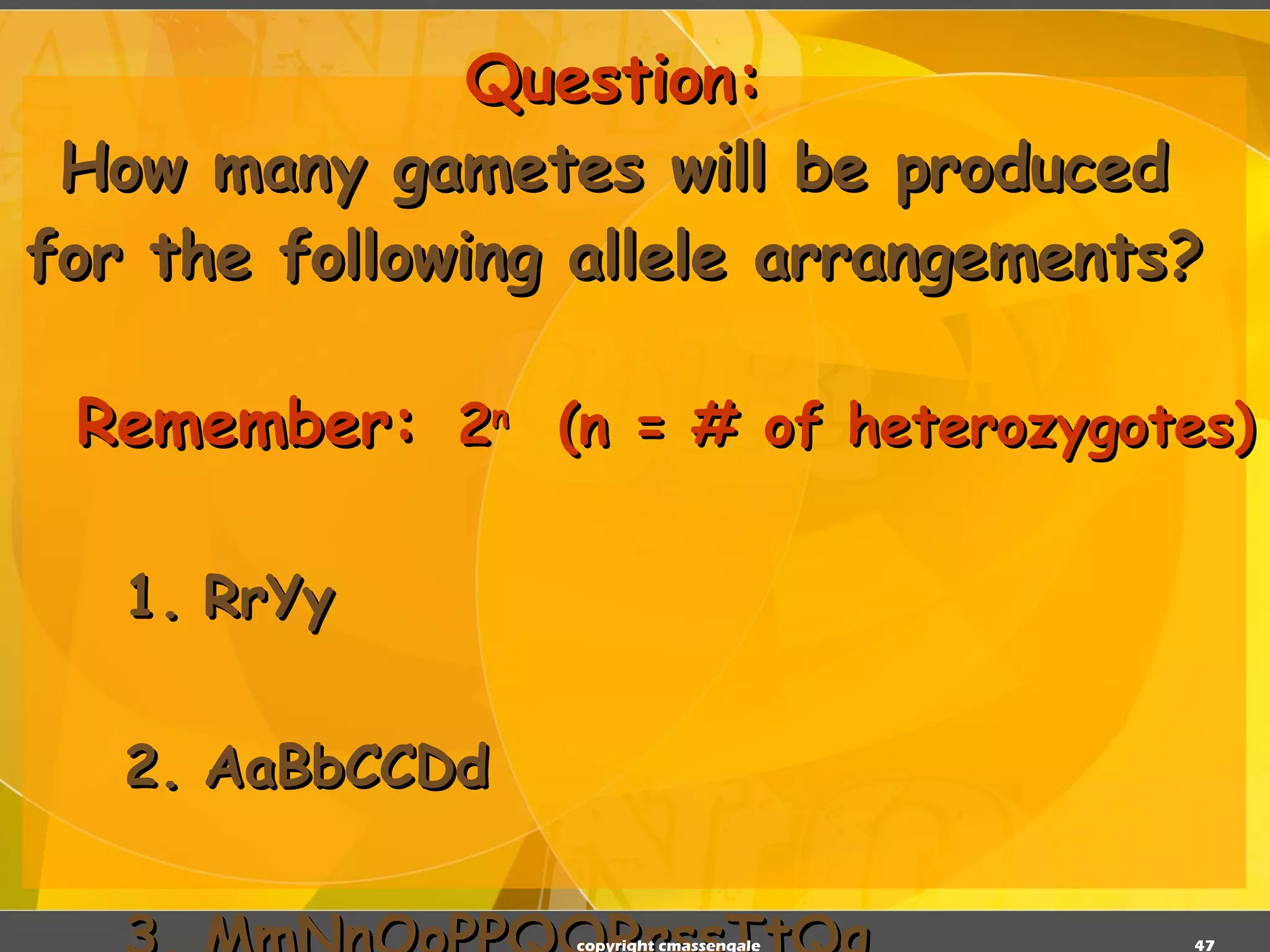 Question: How many gametes will be produced for the following allele arrangements? Remember:   2 n   (n = # of heterozygotes) 1. RrYy 2. AaBbCCDd 3. MmNnOoPPQQRrssTtQq copyright cmassengale 