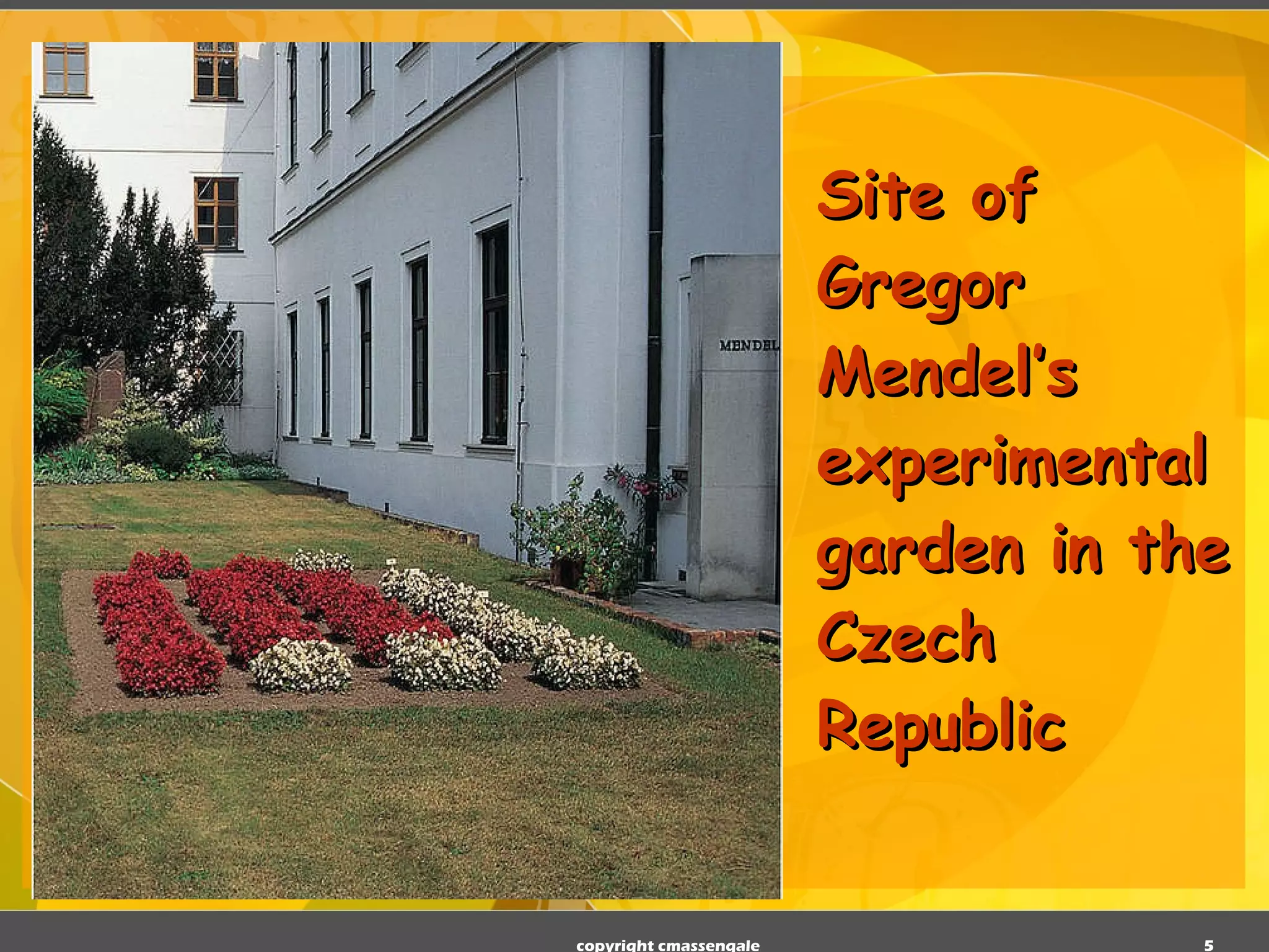 Site of Gregor Mendel’s experimental garden in the Czech Republic copyright cmassengale 