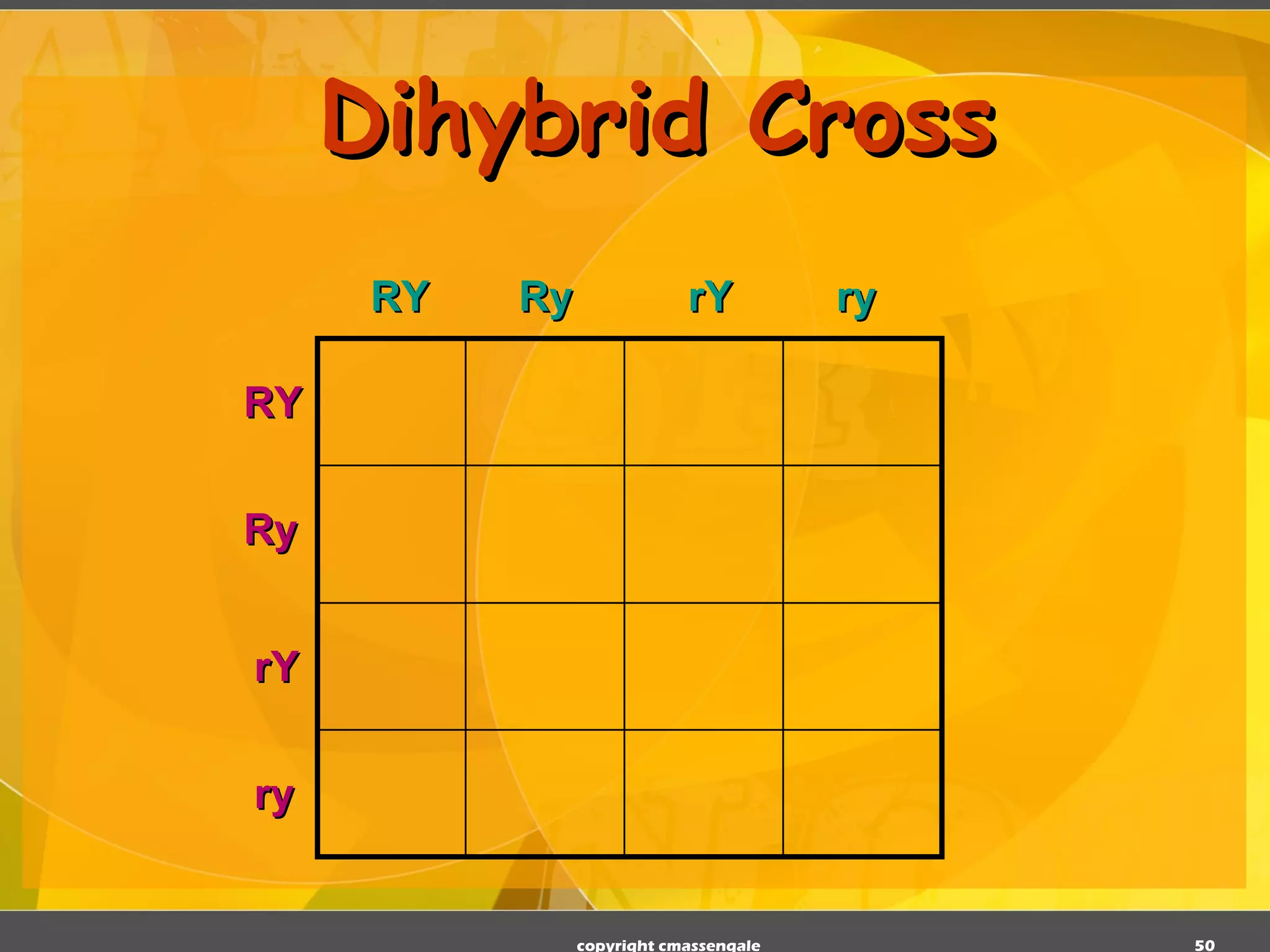 Dihybrid Cross copyright cmassengale RY Ry rY ry RY Ry rY ry 