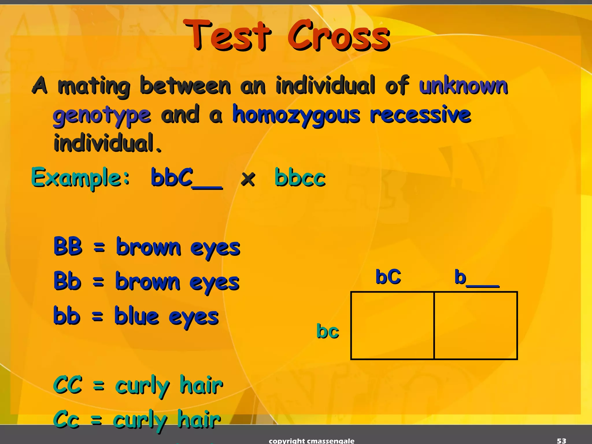 Test Cross A mating between an individual of  unknown genotype  and a  homozygous recessive  individual. Example:   bbC__  x  bbcc BB = brown eyes Bb = brown eyes bb = blue eyes CC = curly hair Cc = curly hair cc = straight hair copyright cmassengale bC b___ bc 