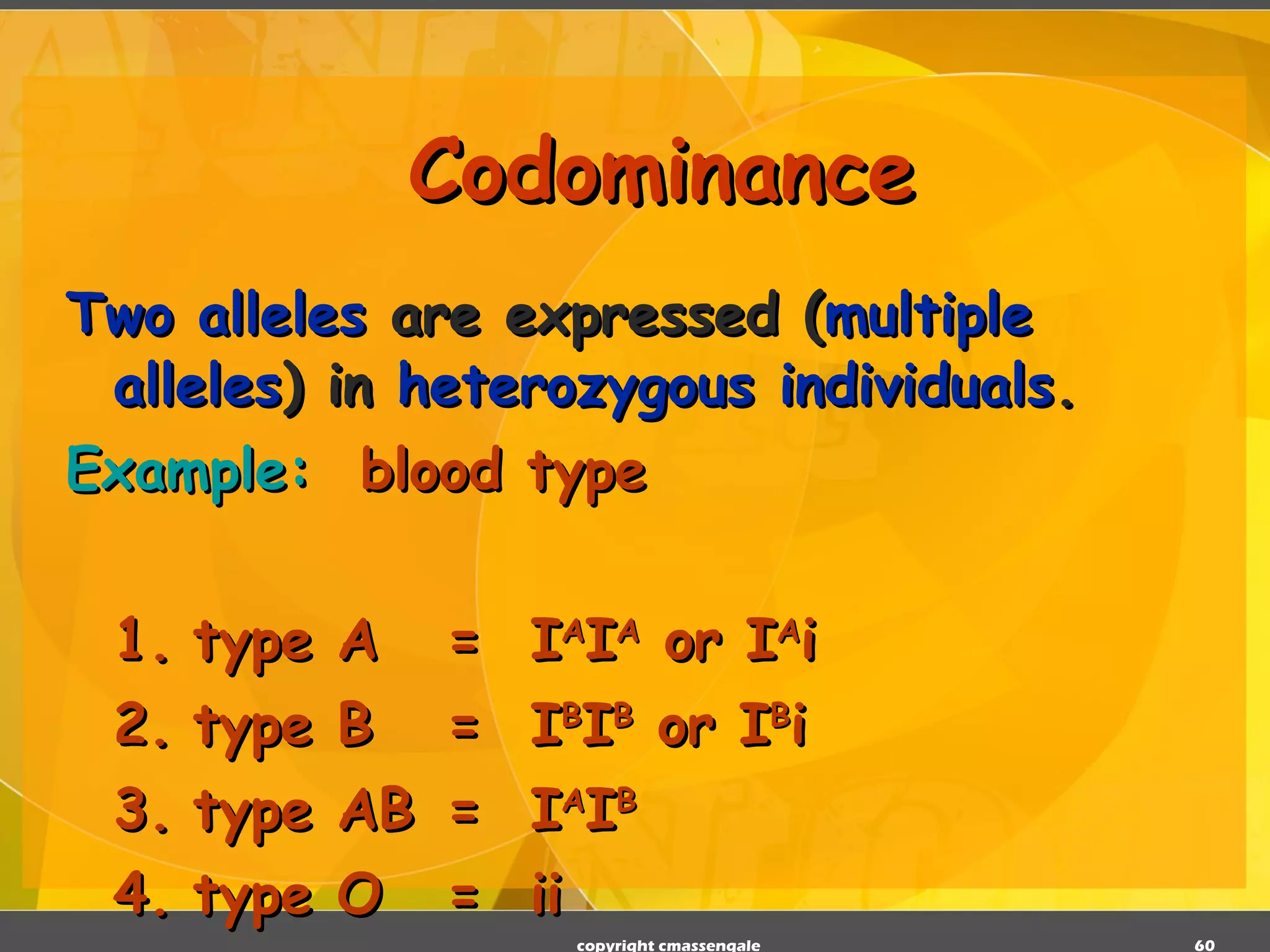 Codominance Two alleles  are expressed ( multiple alleles ) in  heterozygous individuals . Example:   blood type 1. type A =  I A I A  or I A i 2. type B =  I B I B  or I B i 3. type AB =  I A I B 4. type O =  ii copyright cmassengale 