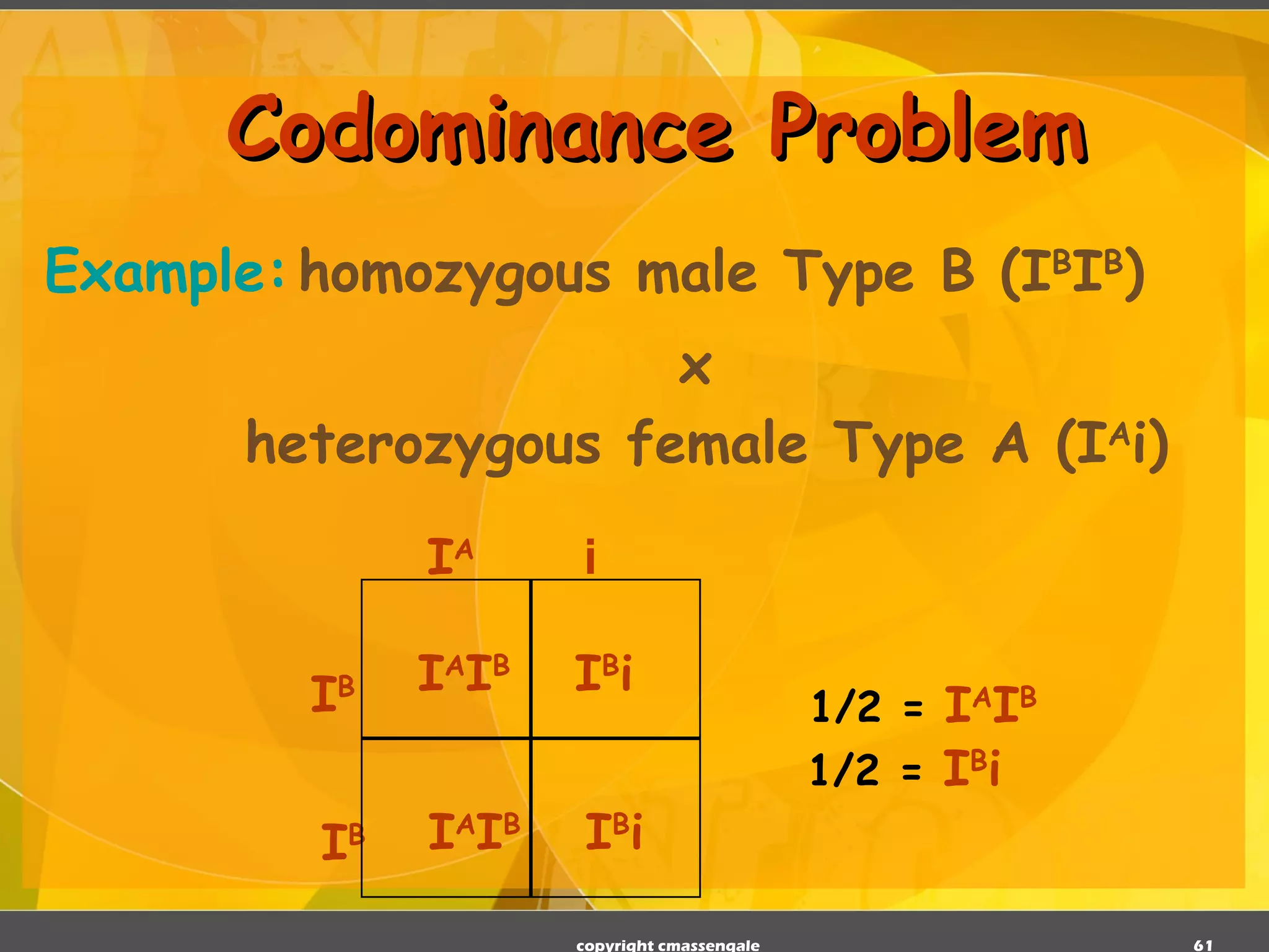 Codominance Problem Example: homozygous male Type B (I B I B ) x    heterozygous female Type A (I A i) copyright cmassengale I A I B I B i I A I B I B i 1/2 =  I A I B 1/2 =  I B i   I B I A i I B 